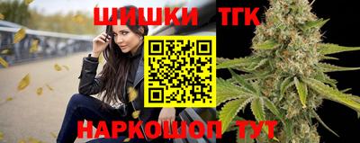 гидропоника Камышлов