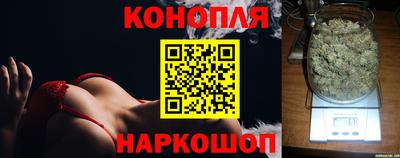 гидропоника Камышлов