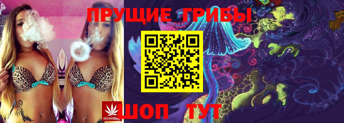 Домодедово  Псилоцибиновые грибы Psilocybe  Псилоцибиновые грибы Magic Shrooms  Вход с VPN 